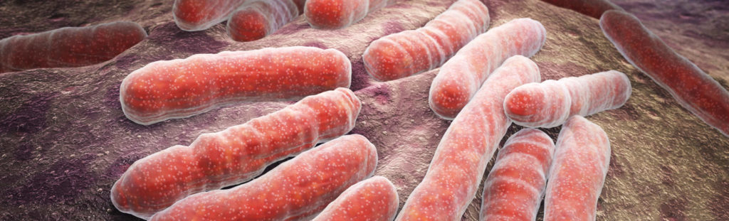 night sweats tuberculosis